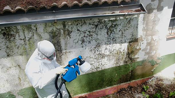 Trusted Crawl Space Mold Removal service in West Friendship, MD - Cheap Mold Removal